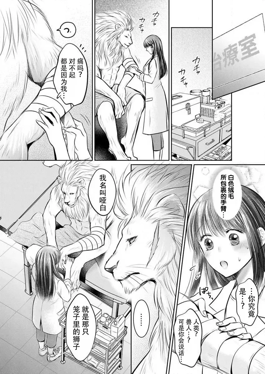 [Amazato] Hatsukoi Otome wa Shirogane Shishi no Netsu o Yadosu  | 沉溺于白银狮子炽热的初恋处女 1 Fhentai.net - Page 15