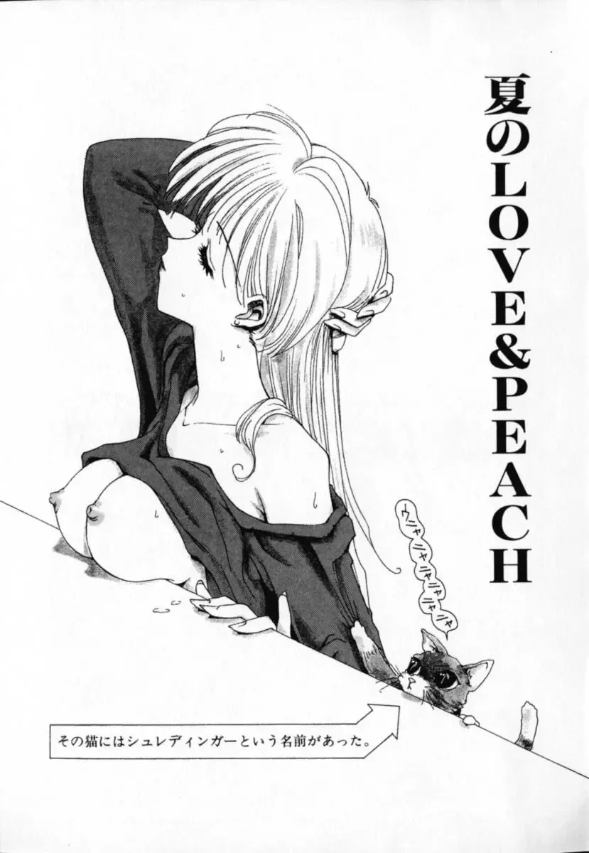 [Sakanaya Kadan] Vatican Violet Fhentai - Page 29