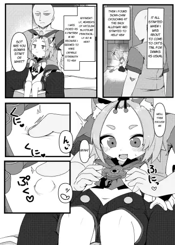 [Meriibe] Diona-chan no Hatsujou Hannou Fhentai - Page 3