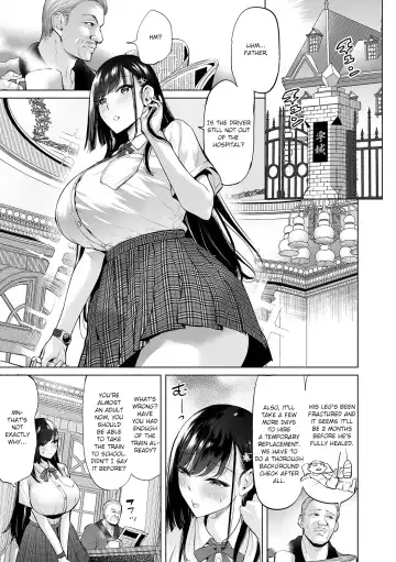 [Ere 2 Earo] Ojou-sama Chikan Train Fhentai.net - Page 5