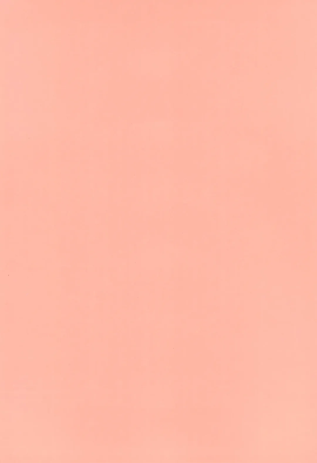 [Tori] Kawaii Maid no Otokonoko Oshioki Anal Virgin-hen Fhentai - Page 4