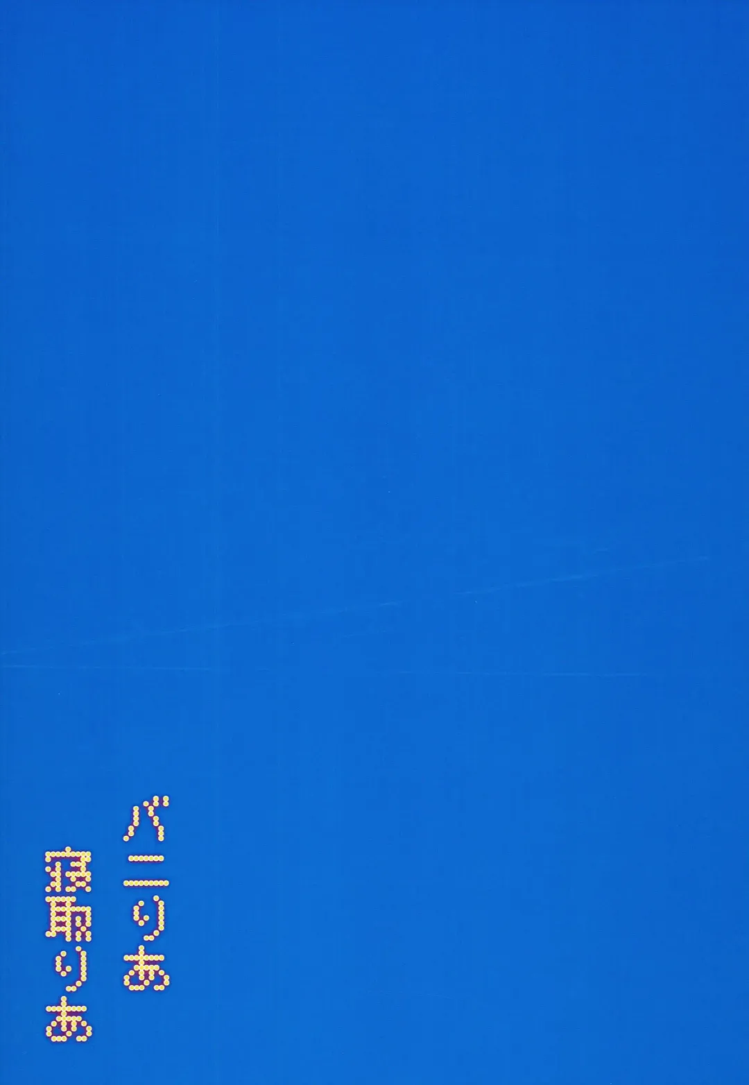 [Buri] Baniria Netoria Fhentai - Page 23