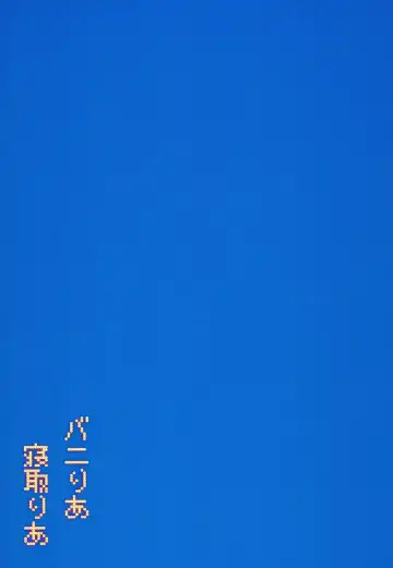 [Buri] Baniria Netoria Fhentai - Page 23