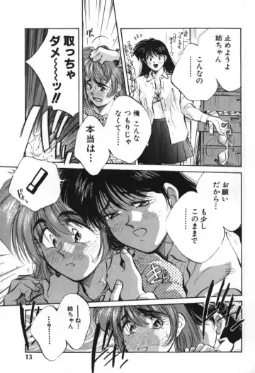 [Aizawa Sanae] Sister to Brother 1 Fhentai - Page 13