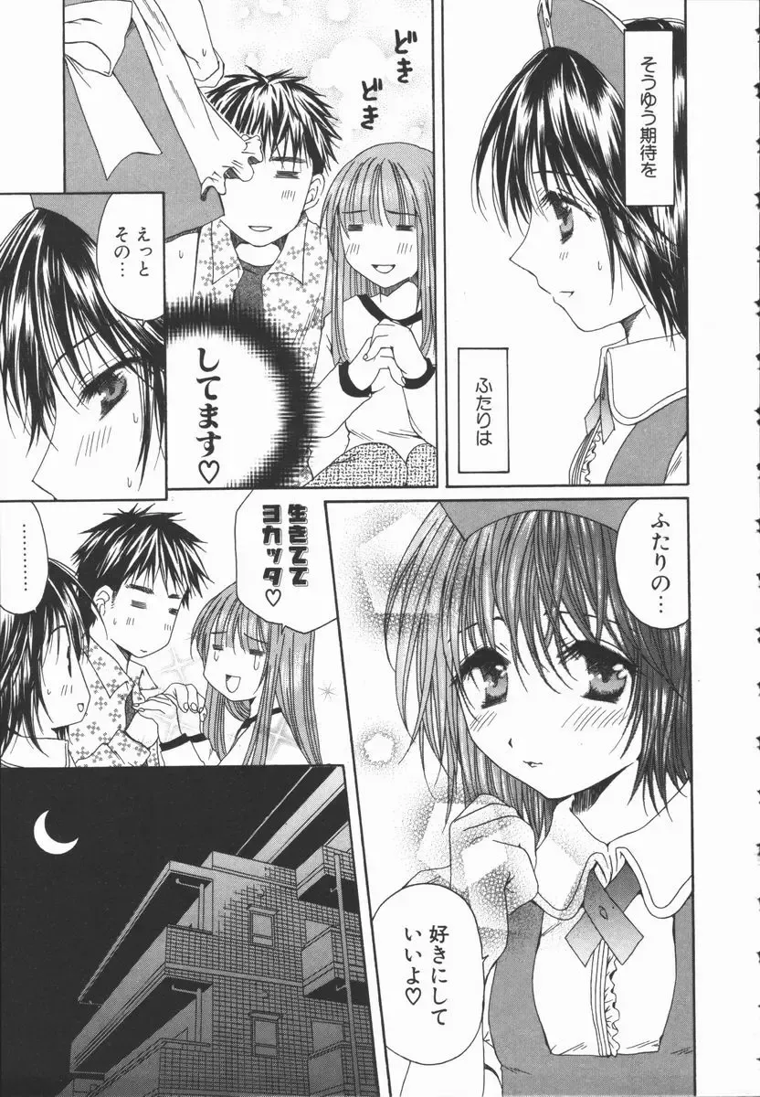 [Takahashi Kobato] Triangle Storm no Uta ga Kikoeru Fhentai - Page 100