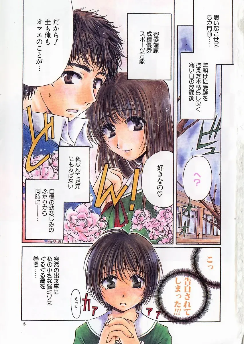 [Takahashi Kobato] Triangle Storm no Uta ga Kikoeru Fhentai - Page 5