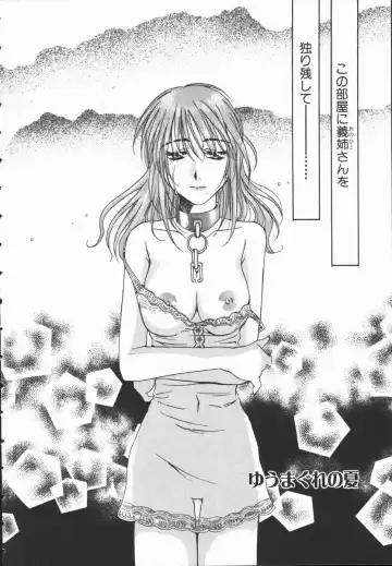 [Takahashi Kobato] Triangle Storm no Uta ga Kikoeru Fhentai - Page 145