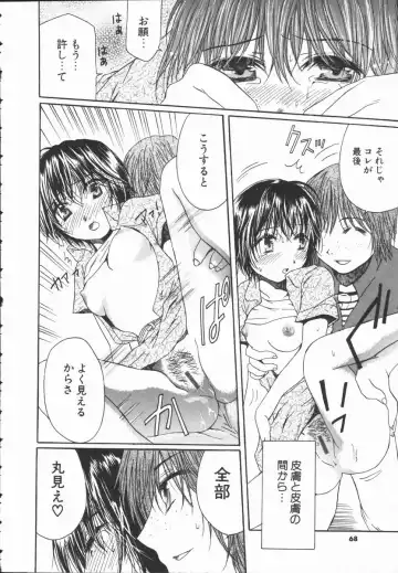 [Takahashi Kobato] Triangle Storm no Uta ga Kikoeru Fhentai - Page 67