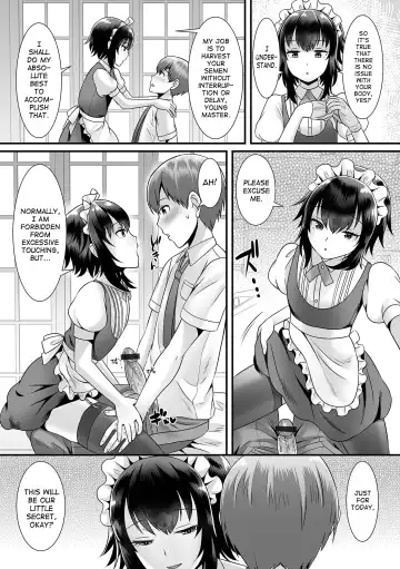 [Palco Nagashima] Seiki Sakushu Maid-san Oshigoto Desu Yo Fhentai - Page 5