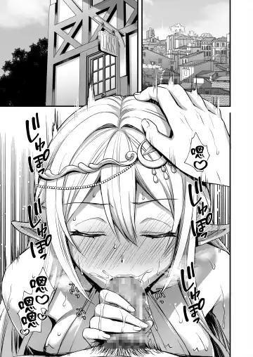 [Ayakawa Riku] Devil eyes of the different world Elf2～Magic mirror～ Fhentai - Page 2