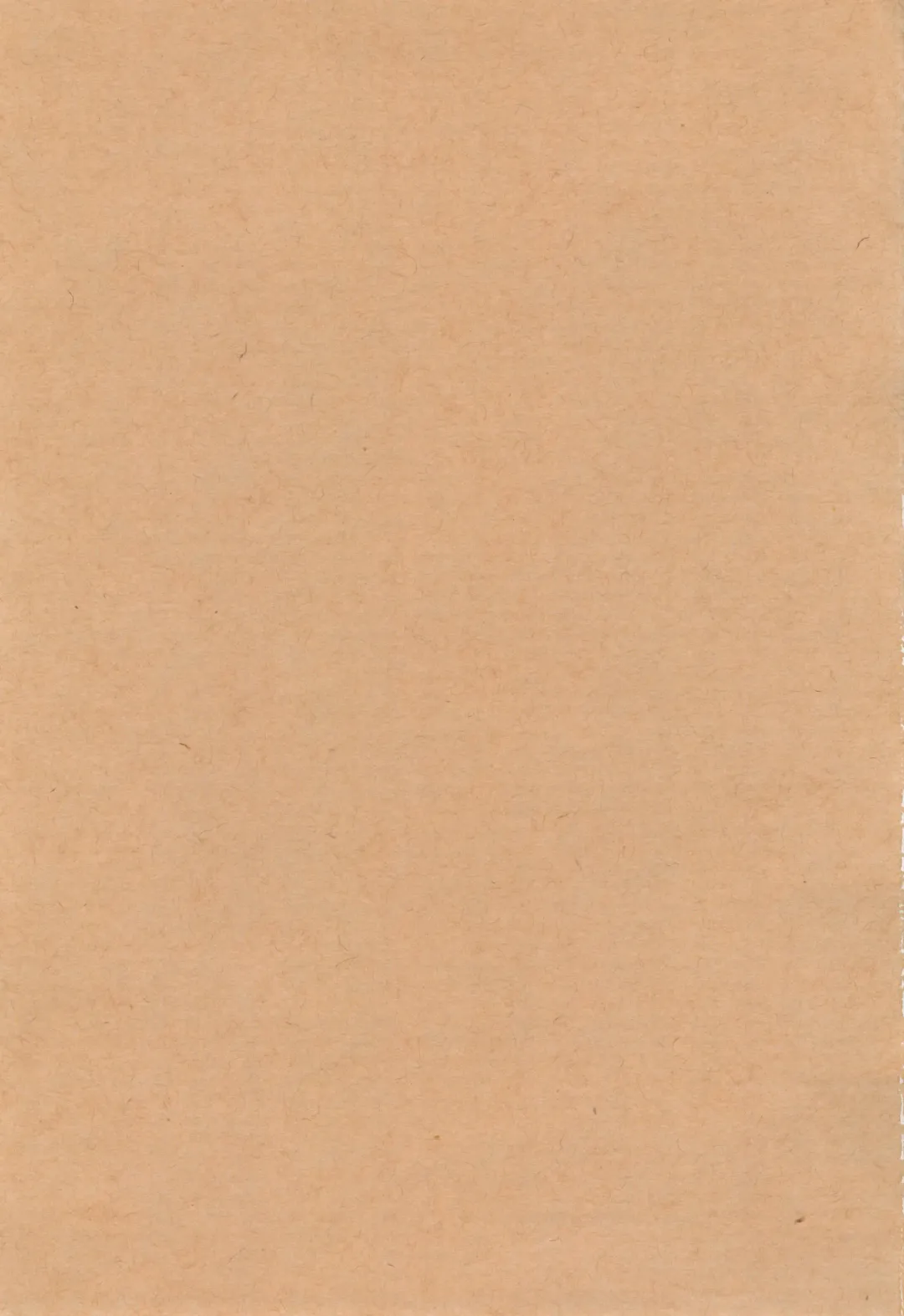 [Nami] Coffee*milk Fhentai - Page 3