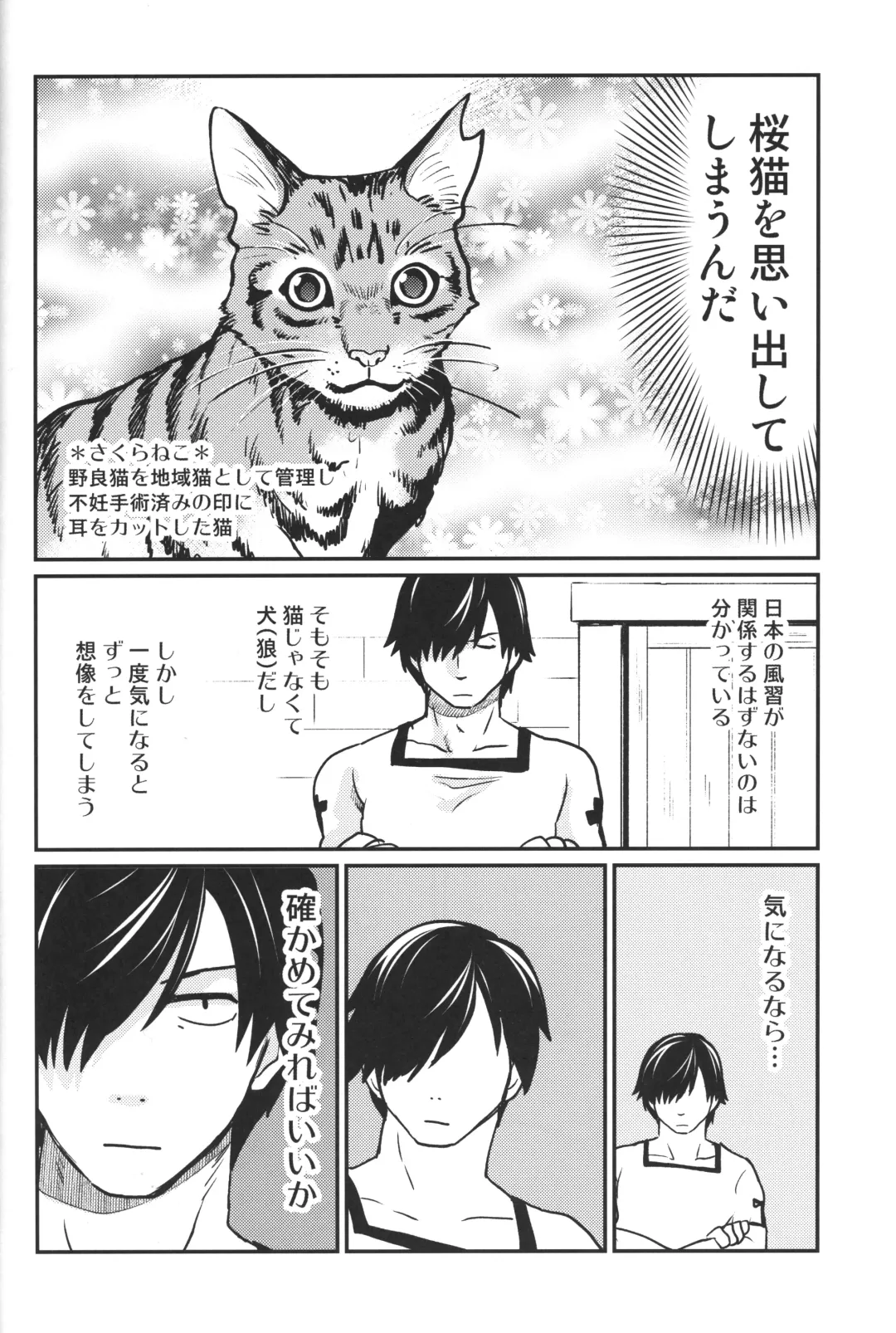 [Kandagawa Gufu - Kreuz] Sekuhara!! Kemono Michi Fhentai - Page 23