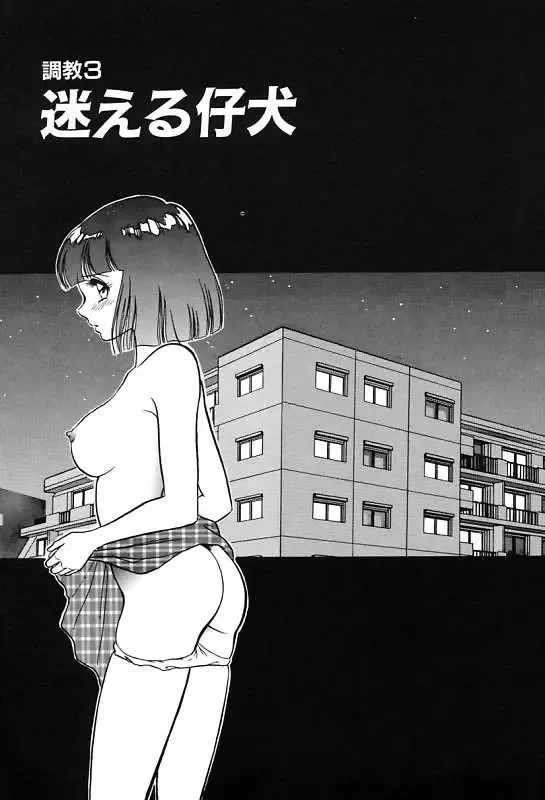 [Keno Yantarou] Mai Slave Fhentai - Page 47