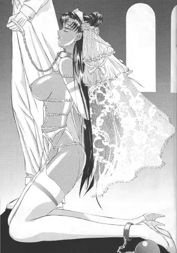 [Hayabusa Shingo] Premium Fhentai - Page 42