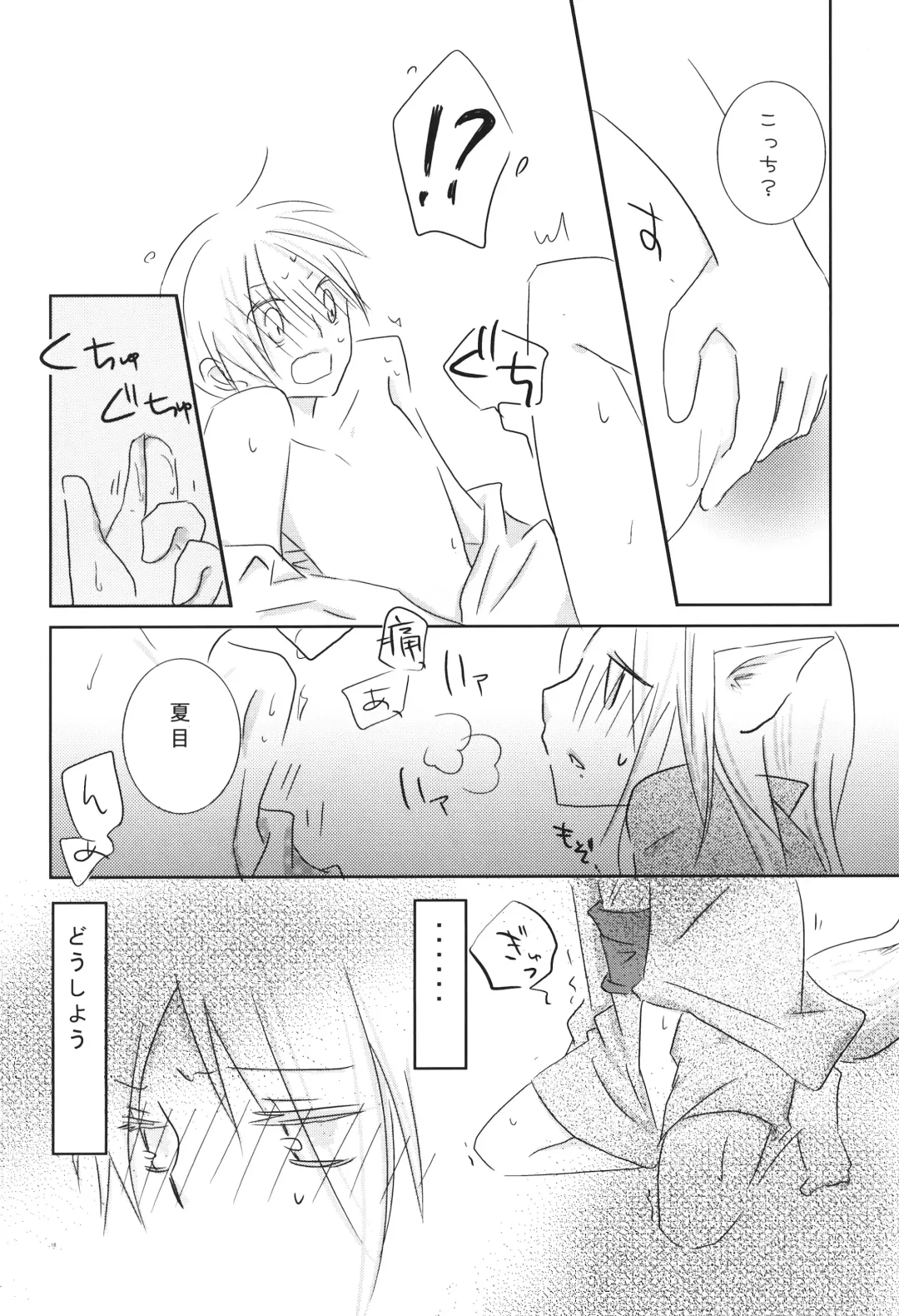 [Tomoe] Kogitsune no Ongaeshi Fhentai - Page 17