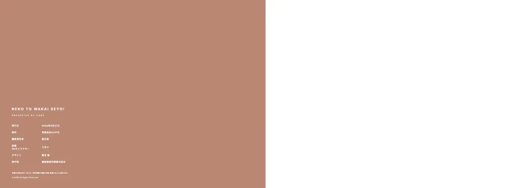 [Koruri] Neko to Wakai Seyo! Visual Fanbook Fhentai - Page 28