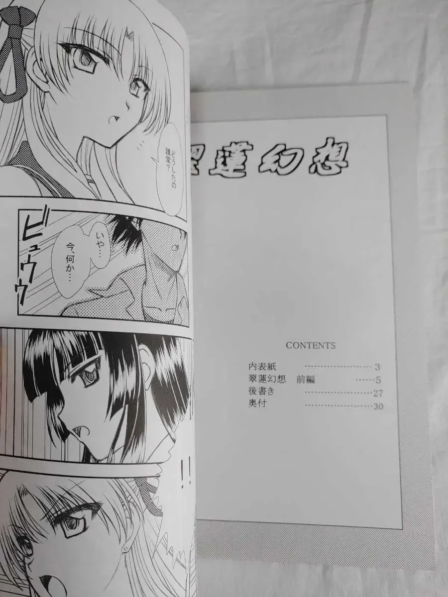 [Densuke] スカサハとスカサハに襲われた話 Fhentai - Page 17