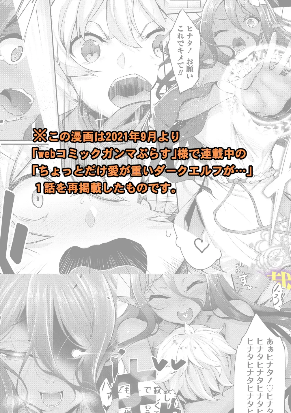 [Nakano Sora] Chotto dake Ai ga Omoi Dark Elf ga Isekai kara Oikakete Kita 3 | Слегка настойчивая тёмная эльфийка последовала за мной из другого мира 3 Fhentai - Page 31