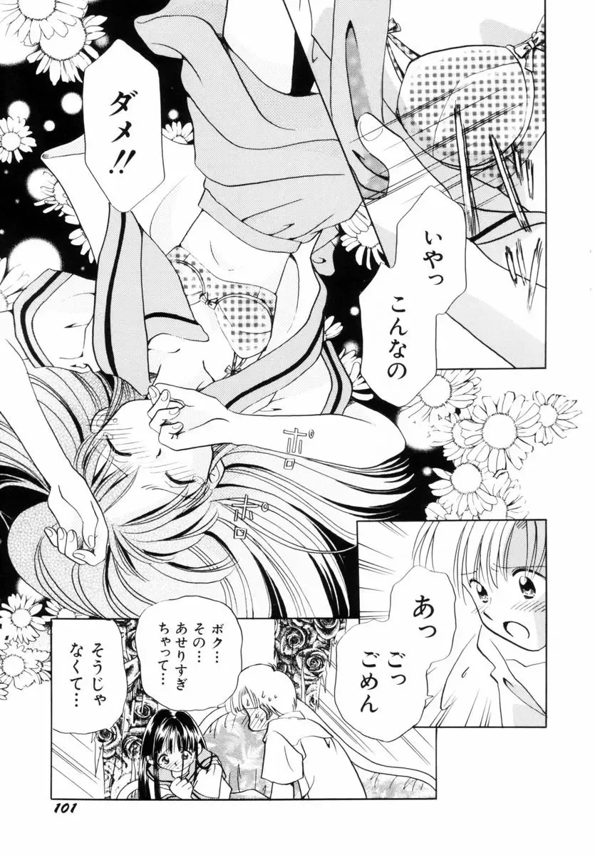 [Nagareboshi Hikaru] Itsuka, Ouji-sama ga. | Someday my prince will come Fhentai.net - Page 104