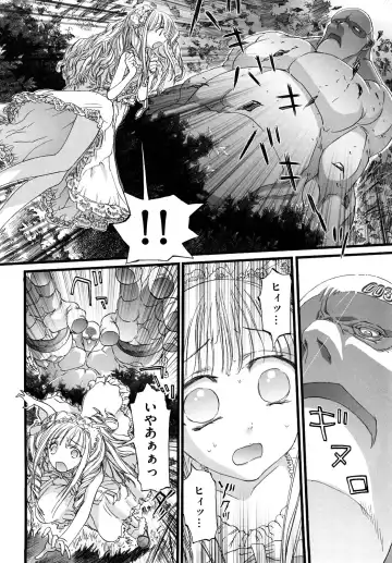 [Nikukiu-] Shoujo Koshouchuu Fhentai.net - Page 25