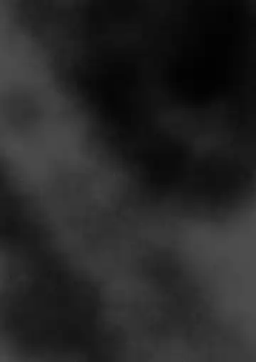 [Shiroha] Miku x Nino Fhentai - Page 8