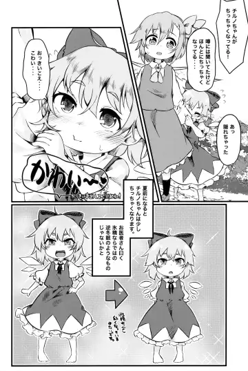 [Nakamura Subaru] Chicchai Cirno-chan ga Kawaisugiru no ga Ikenain dakara ne Fhentai.net - Page 5