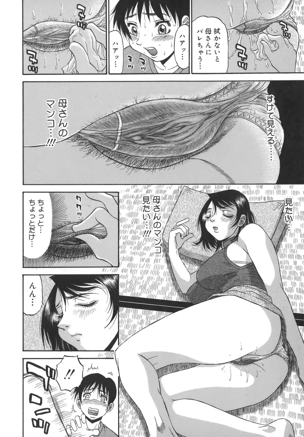 [Pj-1] Sasayaku Haha Fhentai - Page 24