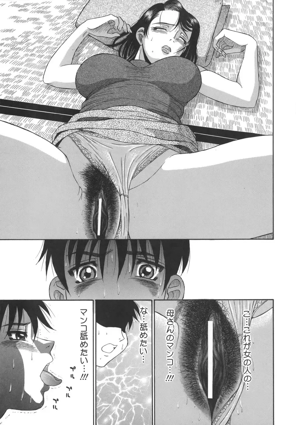 [Pj-1] Sasayaku Haha Fhentai - Page 25