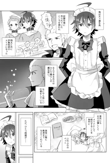 [Akasa Tanu] Hokuto Goshujin-sama to Maud 2-nin no Kanbi na Hibi Fhentai.net - Page 3