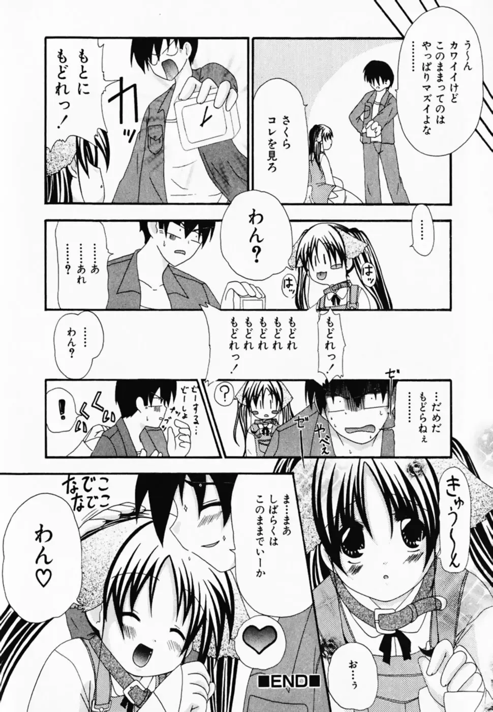 [Shiira Sara] LOVE & PEACE Fhentai - Page 48