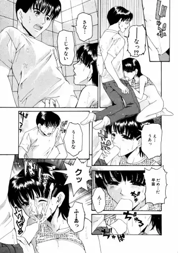 Himitsu no Tobira Vol.02 Fhentai - Page 104