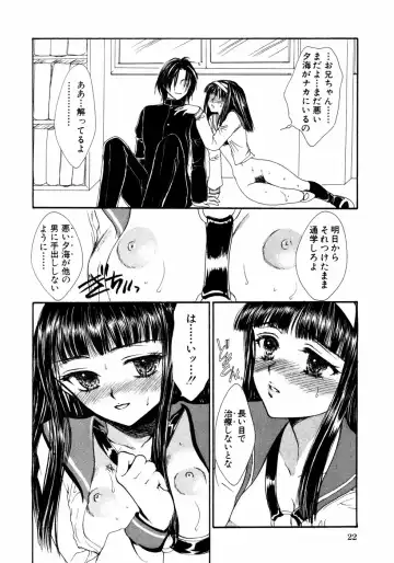 Himitsu no Tobira Vol.02 Fhentai - Page 25