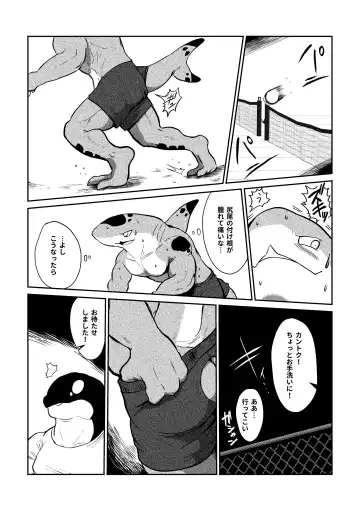 [Kata] Tennis Ball ni Goyoujin! Fhentai - Page 7
