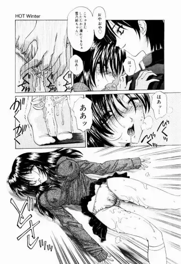 [Hazuki Shishimaru] Tokimeki Hatsujyou Sisters Fhentai - Page 45