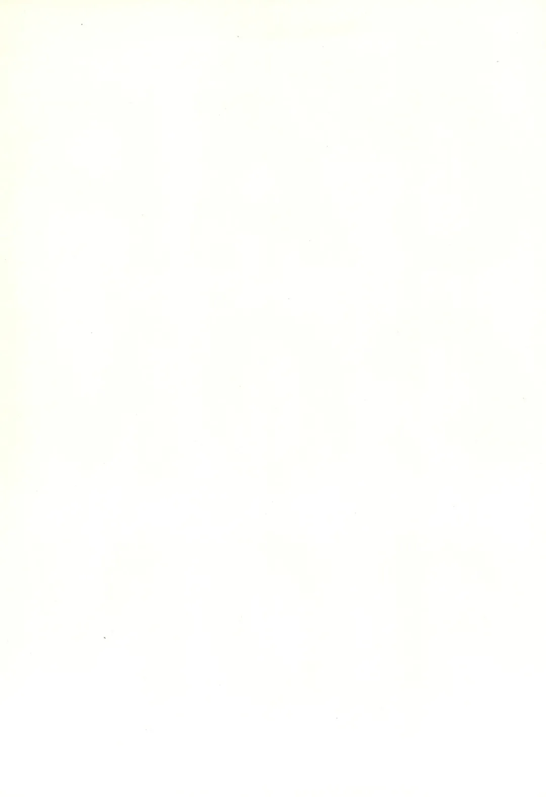 [Inukichi] CAPCOMBON Fhentai - Page 2