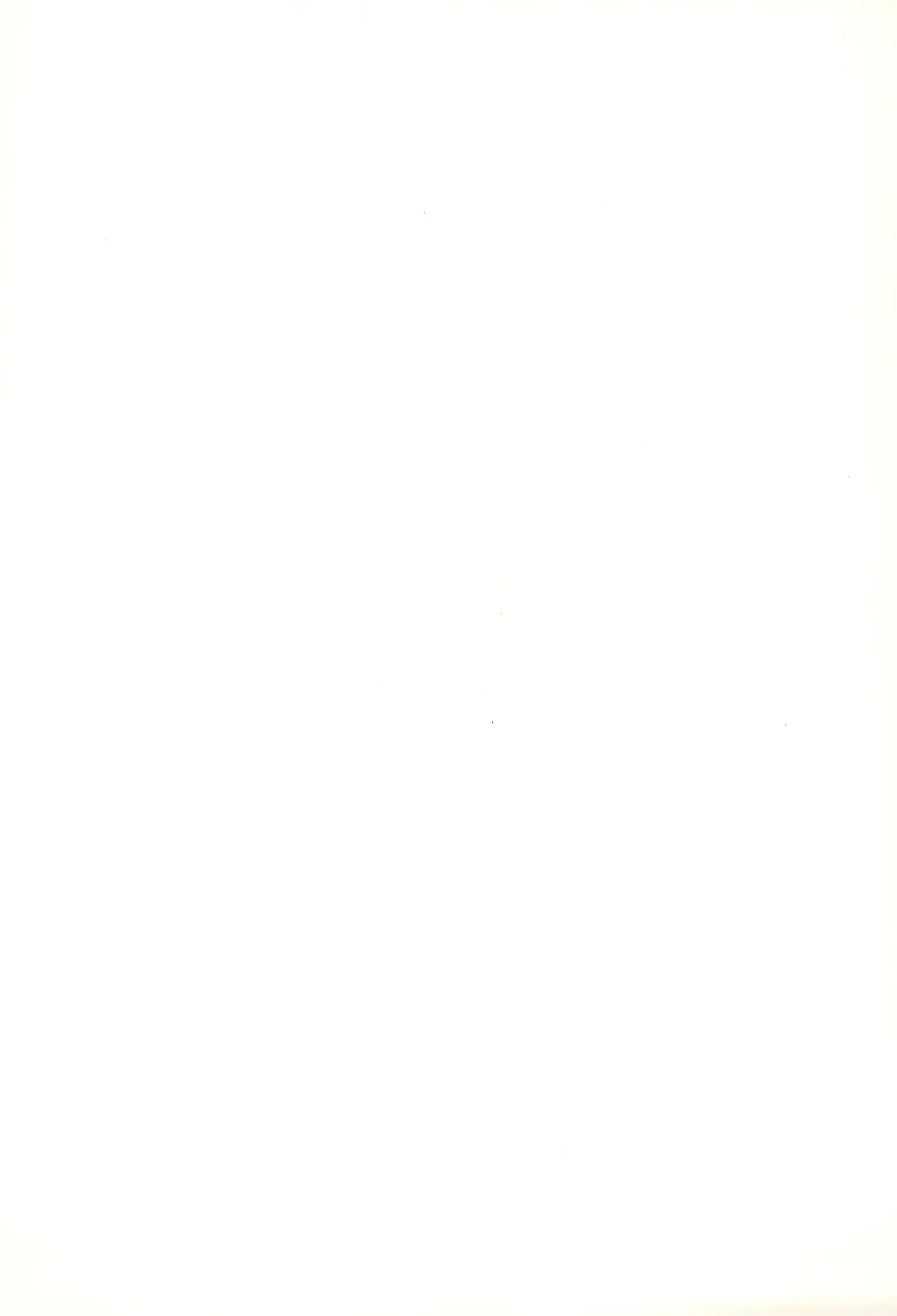 [Inukichi] CAPCOMBON Fhentai - Page 23