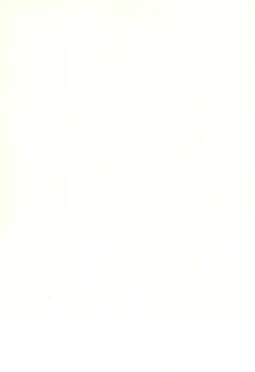 [Inukichi] CAPCOMBON Fhentai - Page 2