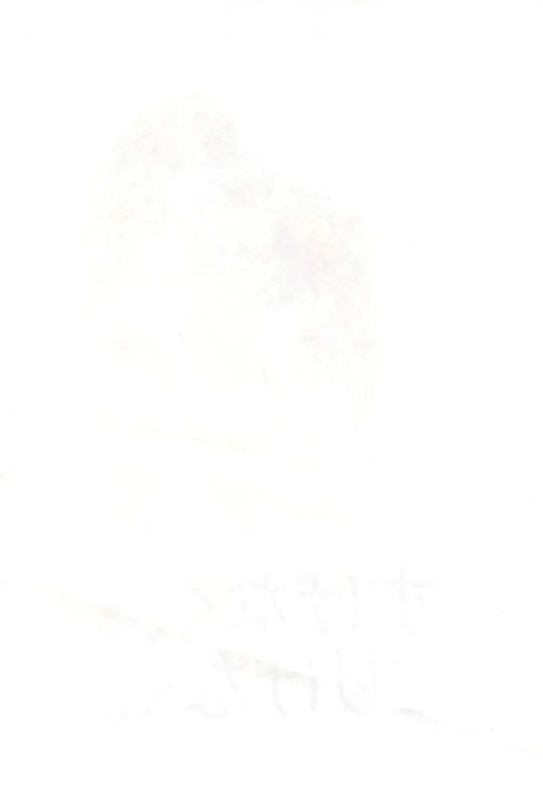 [Matsuno Megumi] Sugenaku, Sarigenaku. Fhentai - Page 6