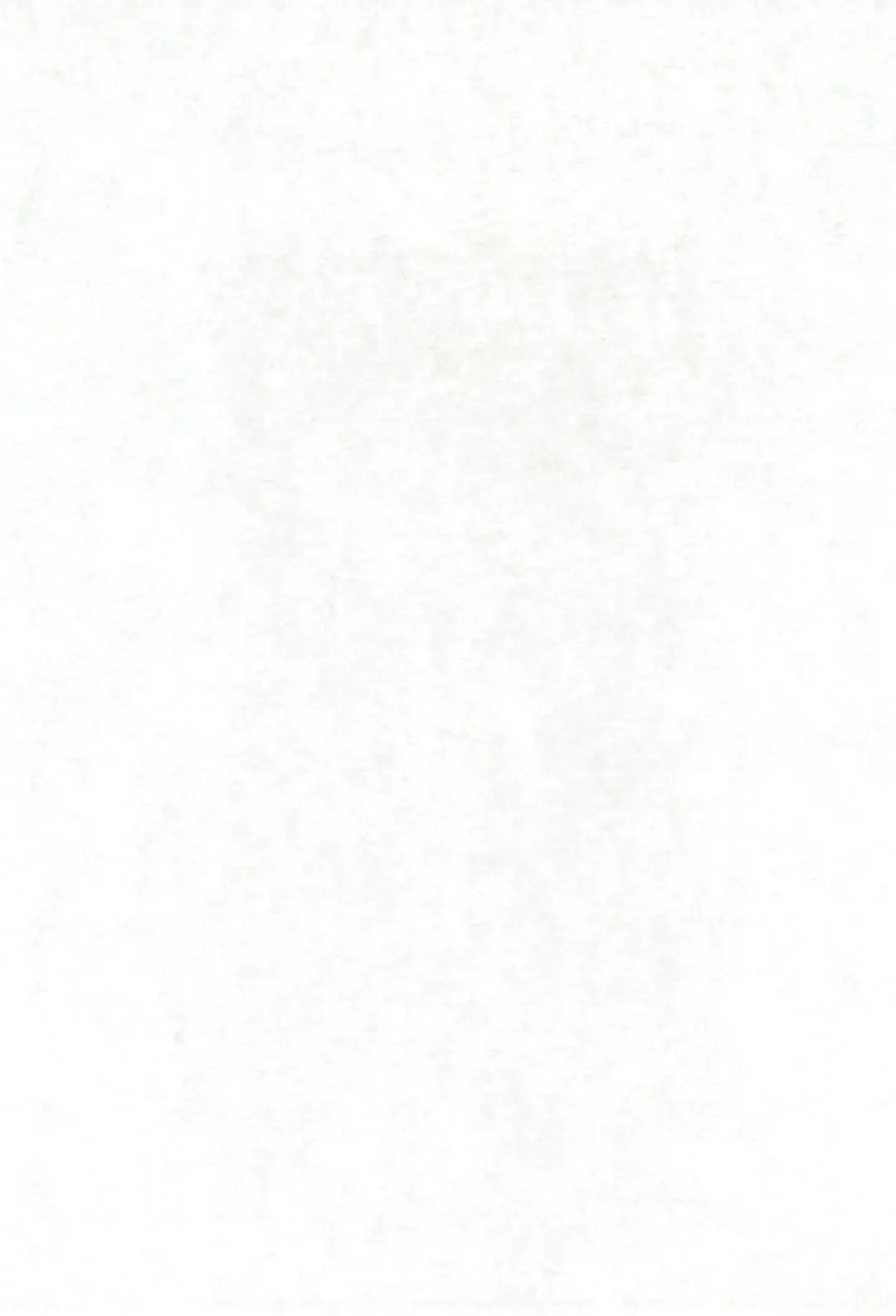 Neko Situ Plus α Fhentai - Page 3