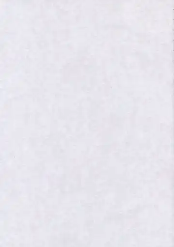 [Karasawa Yonjuu] Miko-san no Kichou na Sanran Scene Fhentai - Page 2