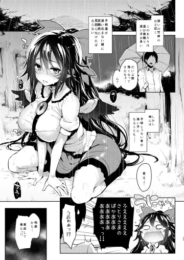 [Michiking] ANMITSU TOUHOU HISTORY Vol.2 Fhentai - Page 23