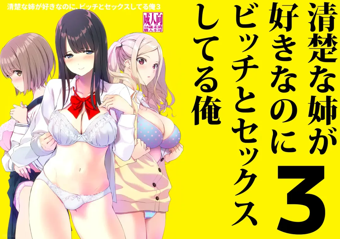 [Fumio] Seiso na Ane ga Suki nanoni, Bitch to Sex Shiteru Ore 3 Fhentai - Page 42