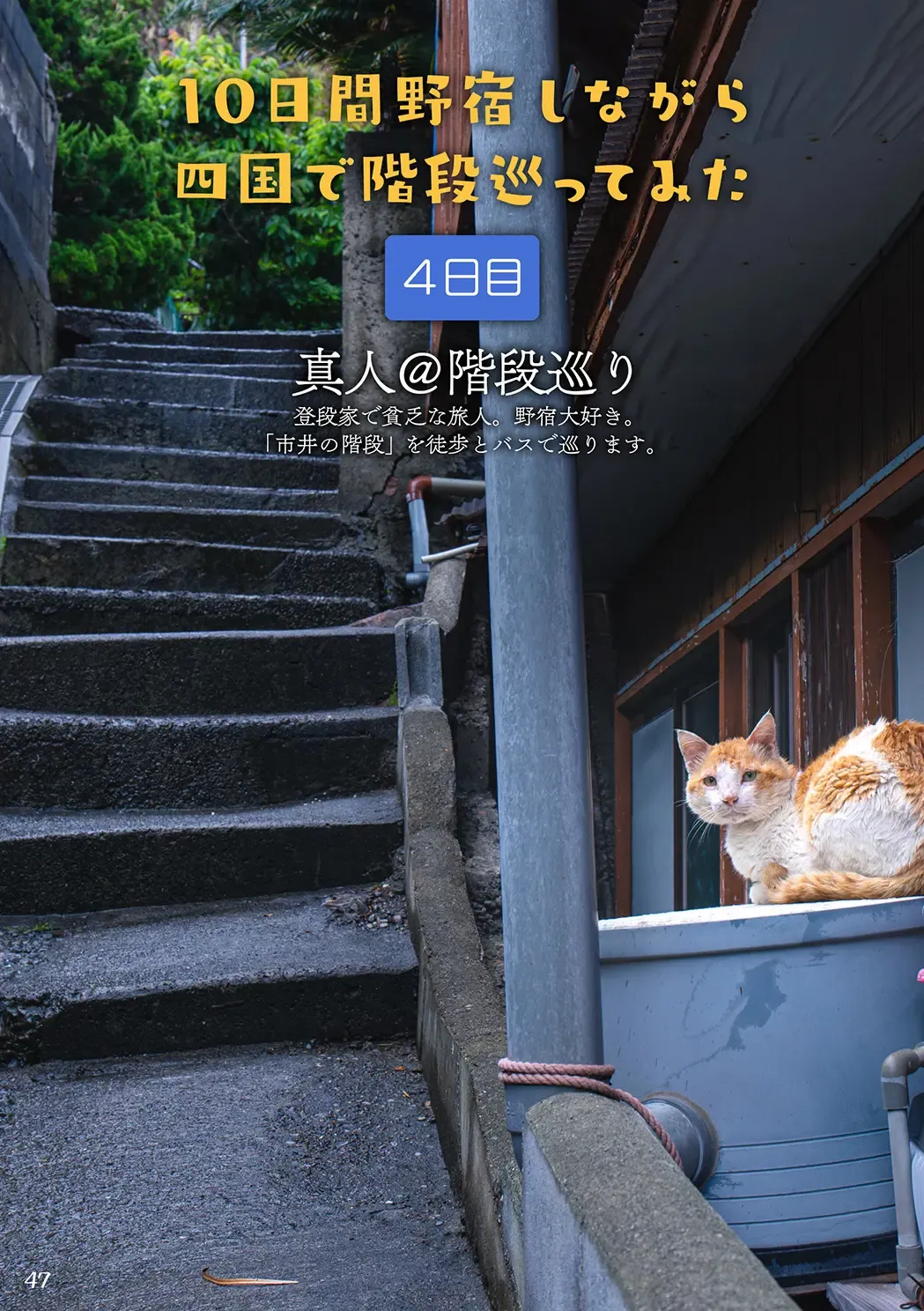 [Futoshi Slim - Kiyo - Shizuoka] AVALON 7-gou Fhentai - Page 46