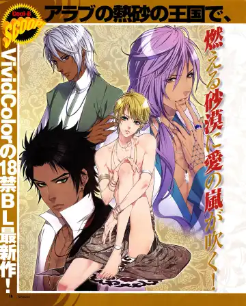 Cool-B Vol.31 2010-05 Fhentai - Page 9