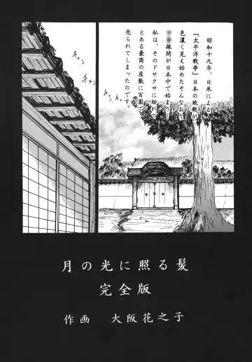 [Oosaka Hananoko] Shining hair by the moonlight -full version- Fhentai - Page 3