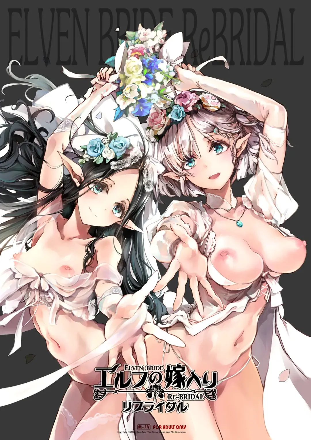 Read [Endou Okito] Elf no Yomeiri Re-Bridal - Fhentai.net