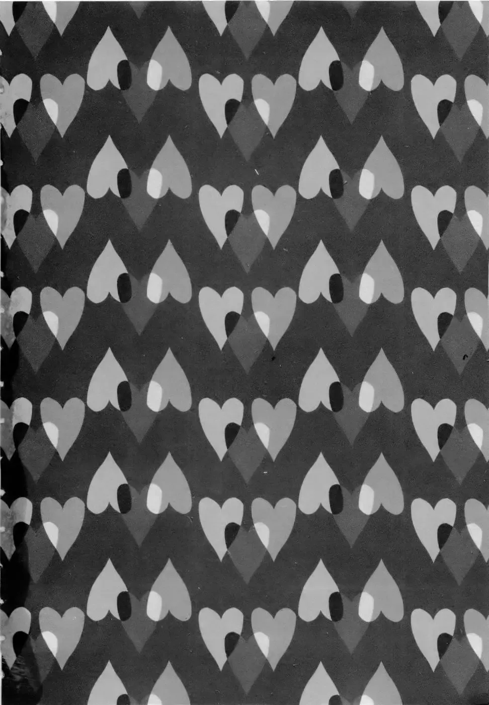 [Aura Seiji] Virgin Egg Fhentai - Page 3