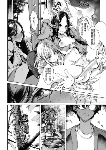 [Endou Okito] Elf no Yomeiri Re-Bridal Fhentai.net - Page 13