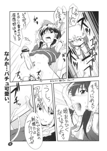 [Hinata Happa] Touhou Genjiiroku Fhentai - Page 16