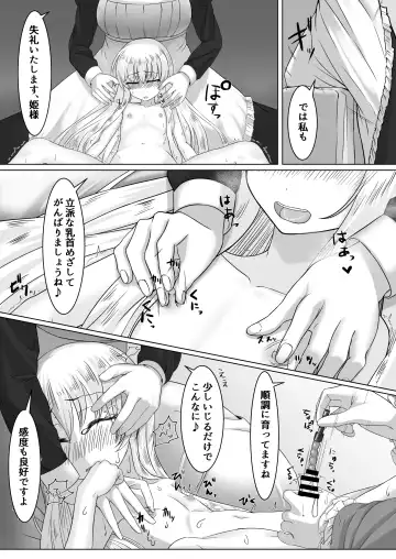 [Youkan] Ohime-sama ♂ no Ouzoku Kyouiku Fhentai - Page 19